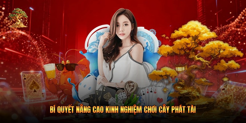 Bí quyết nâng cao kinh nghiệm chơi cây phát tài