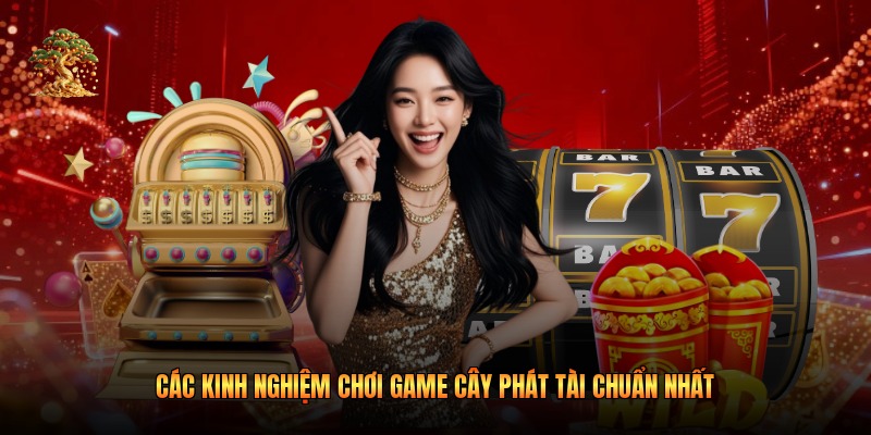Các kinh nghiệm chơi game cây phát tài chuẩn nhất
