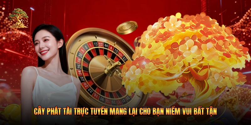 Cây Phát Tài Trực Tuyến Mang Lại Cho Bạn Niềm Vui 2026