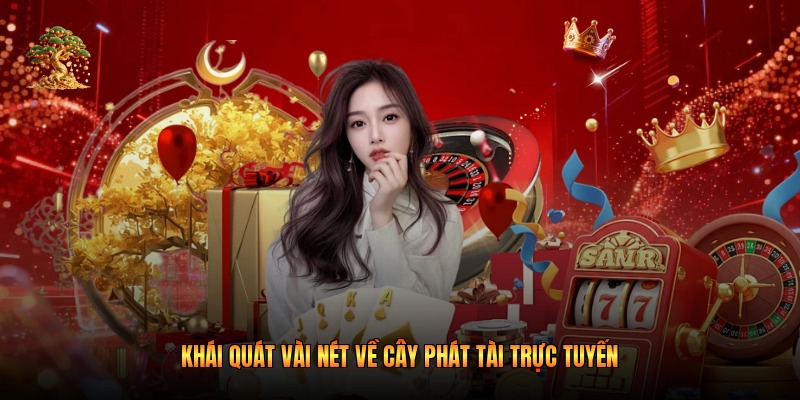 Khái quát vài nét về cây phát tài trực tuyến