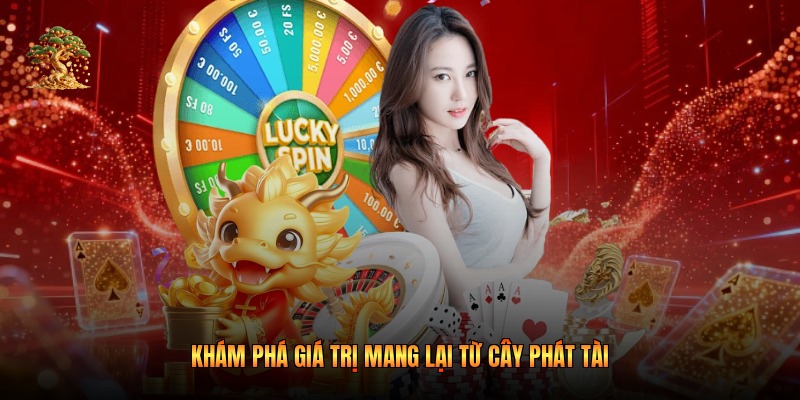 Khám phá giá trị mang lại từ cây phát tài