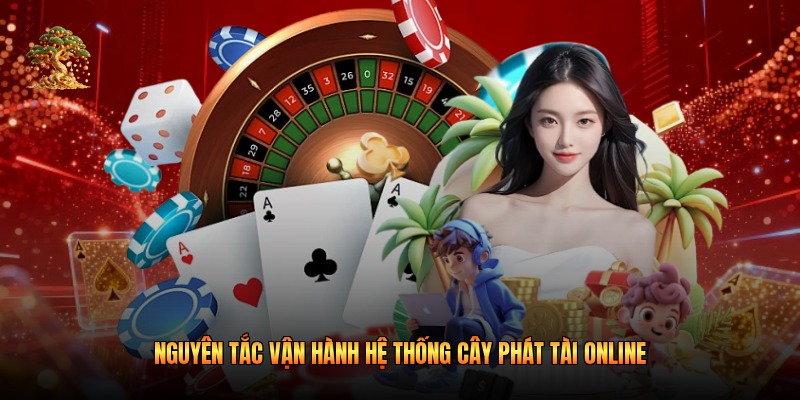 Nguyên tắc vận hành hệ thống cây phát tài online