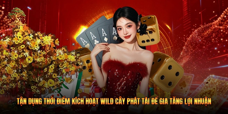 Tận dụng thời điểm kích hoạt Wild cây phát tài để gia tăng lợi nhuận